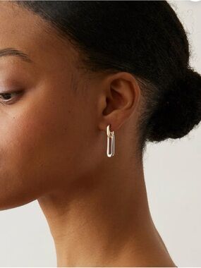 Jenny Bird Two-Tone Link Drop Earrings — Gold & Silver Teeni Detachable